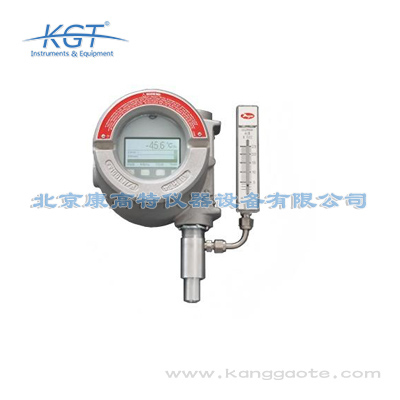 美國PHYMETRIX(菲美特) DPT-900型號在線式防爆露點儀